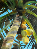 BETWEEN SKY AND COCUNUT