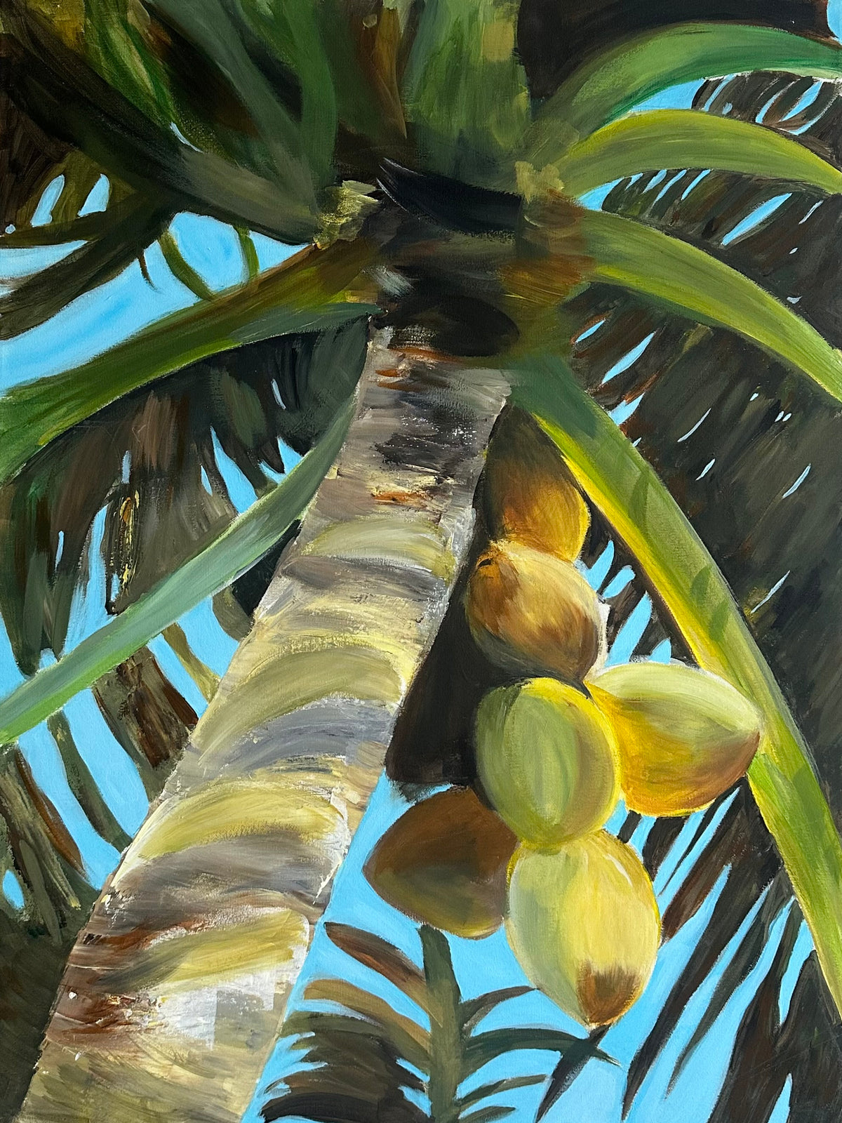 BETWEEN SKY AND COCUNUT